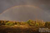 В Чернобыльском заповеднике опубликовали фото радуги над лесами зоны отчуждения у АЭС