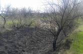 В Снигиревке браконьеры подожгли камыш - выгорело 2 гектара