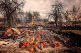 На Житомирщине лесной пожар уничтожил 40 домов