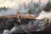 Пожары в Житомирской области тушат при помощи авиации и спецпоезда
