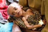 В ООН  предрекли миру голод «библейского масштаба»