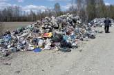 В Житомирской области обнаружили незаконный сброс более 100 тонн львовского мусора