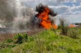 На Николаевщине из-за неосторожного обращения с огнем масштабно горели экосистемы