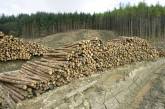 На Николаевщине за год вырубили больше 2000 га леса