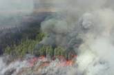 В Чернобыльской зоне продолжаются пожары