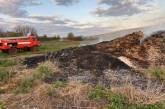 С начала года количество пожаров в экосистемах Николаевской области выросло на 63,5%