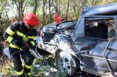 На Хмельнитчине произошло смертельное ДТП: чтобы достать людей из авто вызывали спасателей