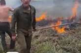Поджигателями травы под Киевом оказались нацгвардейцы. ВИДЕО
