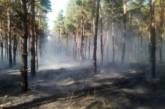 На Кинбурнской косе неизвестные подожгли лес
