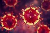 В Эстонии нашли две новые мутации коронавируса
