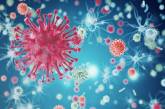 ВОЗ готовит Европу к второй волне коронавируса осенью