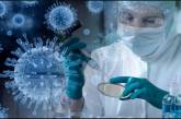 Международная группа ученых искусственно создала коронавирус