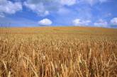 В Николаевской области площадь сельскохозяйственных земель составляет почти 2 млн гектаров