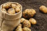 В Украину начали завозить технический картофель из стан ЕС