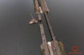 Под Никополем из воды доставали рухнувшую с мостом фуру: фото и видео с высоты