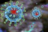 Коронавирус в мире: заразились почти 5,6 млн человек, умерло - более 350 тысяч