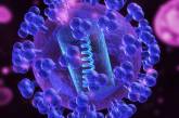 Ученые обнаружили слабые места коронавируса