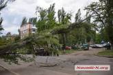 В Николаеве упавший тополь перегородил ул. Бутомы