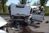 На Николаевщине при столкновении «Дайхатсу» и ВАЗа погиб мужчина: тело из авто вырезали спасатели
