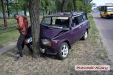 В Николаеве пьяный водитель «Жигулей» въехал в дерево