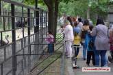 В Николаевском зоопарке из-за подкормки посетителями гибнут африканские страусы