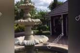 В сети появилось видео терема с фонтаном вора в законе Васи Бандита