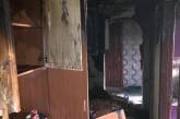 В Николаеве из-за включенного утюга горела квартира: спасли котов и крысу