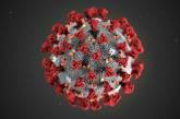 В мире коронавирусной инфекцией заболели более 9 миллионов человек