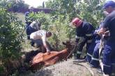На Николаевщине спасатели достали корову, которая упала в ров