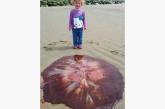 Пятилетняя девочка нашла на пляже самую крупную в мире ядовитую медузу