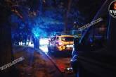 Ночью во Львове произошла массовая драка: пострадали несколько человек. Видео