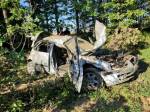 В воскресенье, 28 июня, трассе Запорожье-Мариуполь&nbsp;автомобиль Hyundai съехал в кювет и врезался в дерево. В результате происшествия пострадало 4 человека, из них 2 детей, ещё один человек погиб