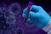 На следующей неделе ВОЗ начнет расследовать в Китае происхождение коронавируса