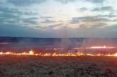 На Николаевщине горело пшеничное поле и лесополоса 
