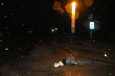 В Николаевском районе под колесами ВАЗа погибла женщина