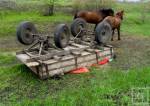Вечером в понедельник, 6 июля, в селе Веселиновского района Николаевской области лошадь понесла повозку, в которой находились трое маленьких детей - погибла 2-летняя девочка