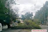 В центре Николаева упавшая ветка дерева оборвала провода контактной сети трамваев