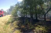 В разных селах Николаевщины одновременно горит около 10 га сухостоя
