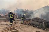 В масштабных лесных пожарах на Луганщине погибло пять человек. Видео