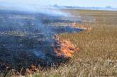 В Николаевской области за сутки выгорели 7 га территорий: поле пшеницы удалось спасти
