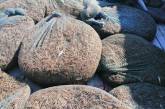 На Кинбурнской косе выявили браконьеров, выловивших креветок на 220 тысяч гривен