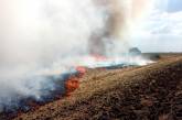Из-за высокой пожароопасности в Николаевской области 12 раз горел сухостой