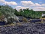 В Никоаевской области выгорело почти 1 гектар сухой подстилки в лесу
&nbsp;