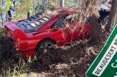 Владелец спорткара за $2,4 миллиона разбил авто о дерево: машина не была застрахована