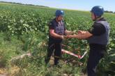 В Николаевской области пиротехники нашли и уничтожили 32 артснаряда и авиационную бомбу