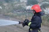 За сутки из-за неосторожности граждан в Николаевской области выгорело 9 га территории