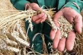 В Николаевской области 20,6 га пастбищ, на которых выращивали зерно, передали государству
