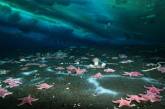 «Угроза цивилизации»: ученые нашли утечку метана с морского дна