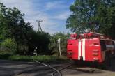 В Николаевской области за сутки выгорело более 10 га территории