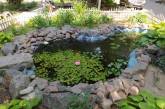 В Николаеве жители создали в своем дворе зеленую зону и даже обустроили водоем с рыбками